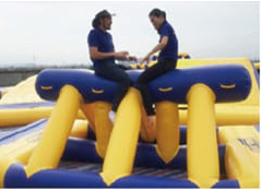 50m inflatable shark water slide-19