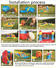 KK INFLATABLE crocodile style pump up tent wholesale for event