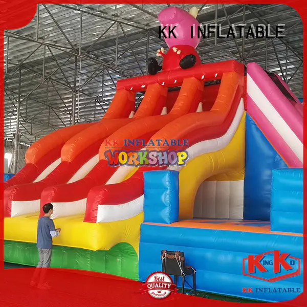 friendly blow up water slide giant for wholesale for paradise
